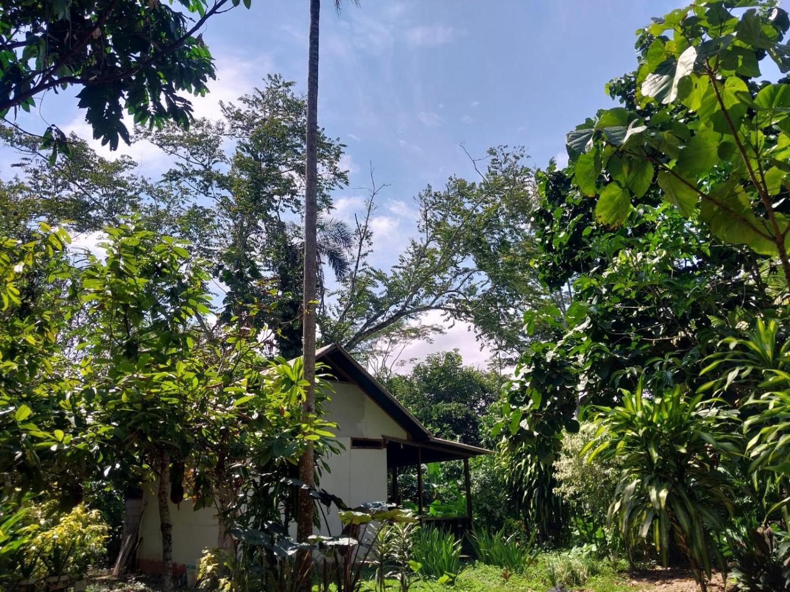 Jardin De Las Musas Puerto Maldonado Room photo