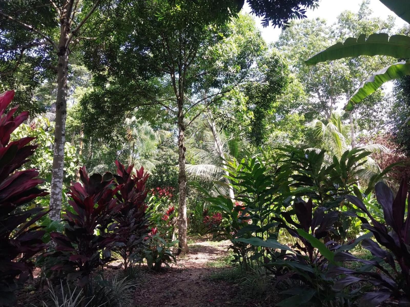 Jardin De Las Musas Puerto Maldonado Exterior photo