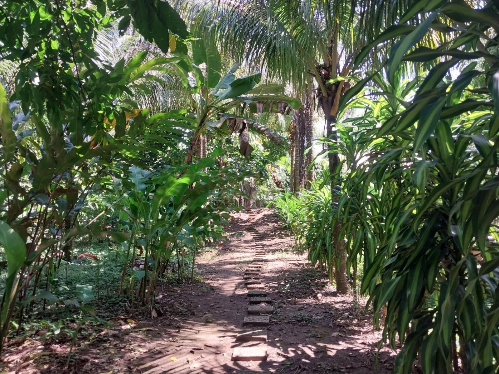 Jardin De Las Musas Puerto Maldonado Exterior photo