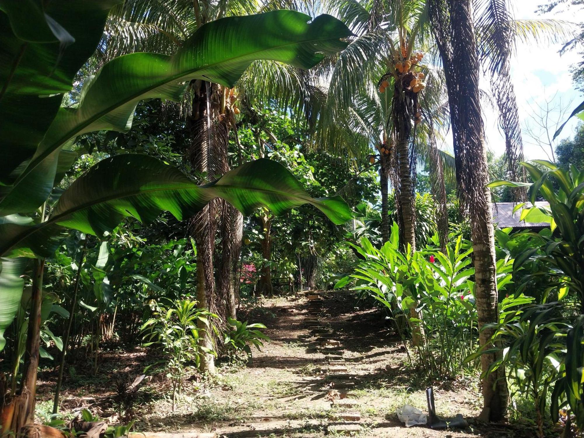 Jardin De Las Musas Puerto Maldonado Exterior photo