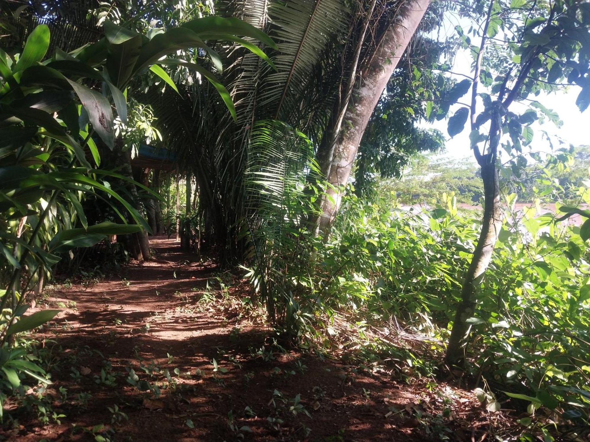 Jardin De Las Musas Puerto Maldonado Room photo